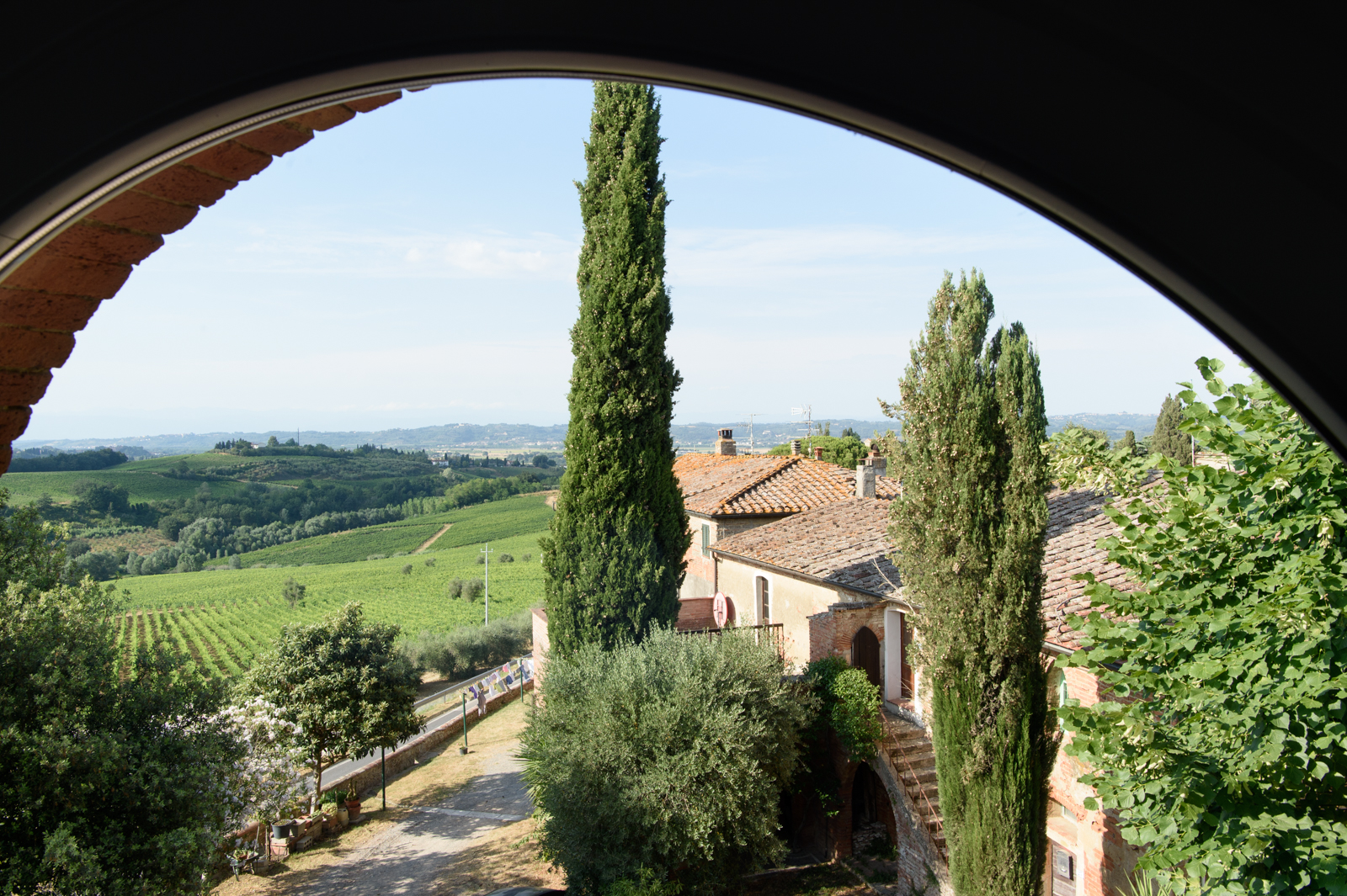 Laqua Vineyard Cannavacciuolo Toscana