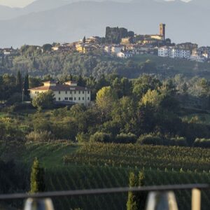 Laqua Vineyard Cannavacciuolo Toscana