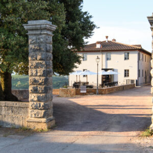 Laqua Vineyard Cannavacciuolo Toscana
