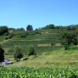 Canton Ticino: cosa vedere tra grotti, vini Merlot e panorami sul Lago di Lugano