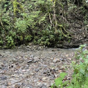 Valle dei mulini Gallio Asiago