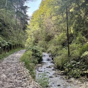 Valle dei mulini Gallio Asiago