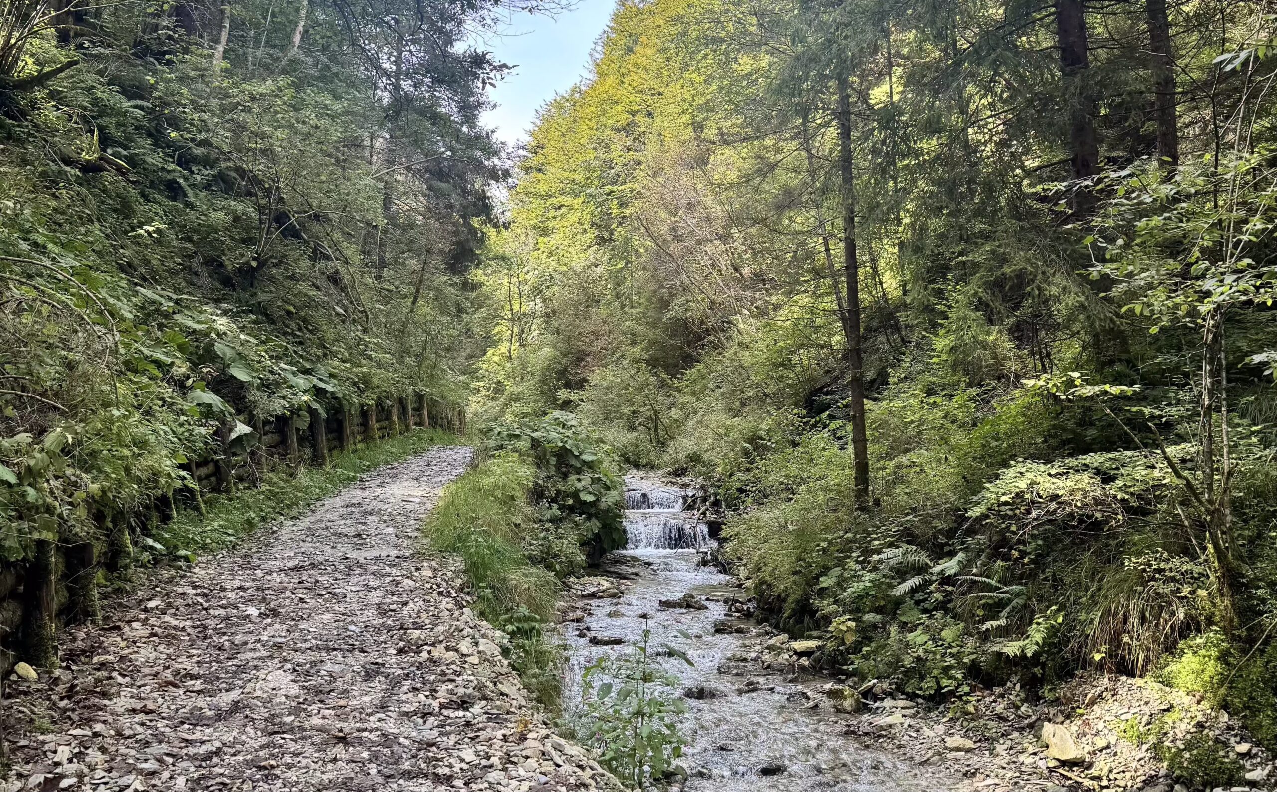 Valle dei mulini Gallio Asiago