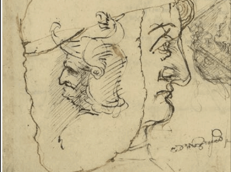 Mostra Leonardo da Vinci Napoli