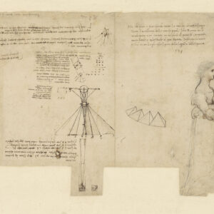 Mostra Leonardo da Vinci Napoli