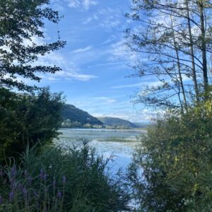 Lago di Fimon Vicenza