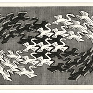 mostra Escher_Swans