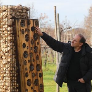 Cal Monda - Bug Hotel