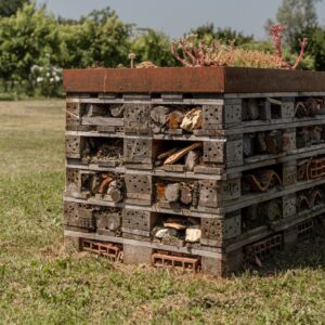 Cal Monda Bug hotel