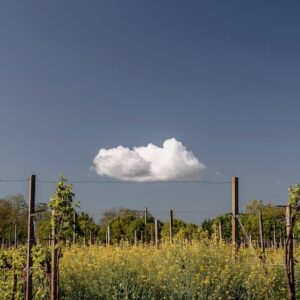 Cal Monda Degustazione Prosecco