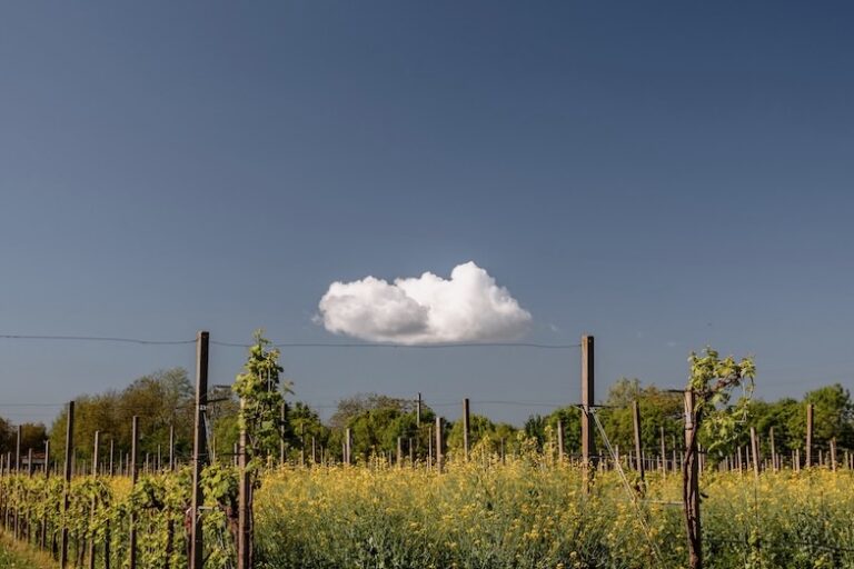 Cal Monda Degustazione Prosecco