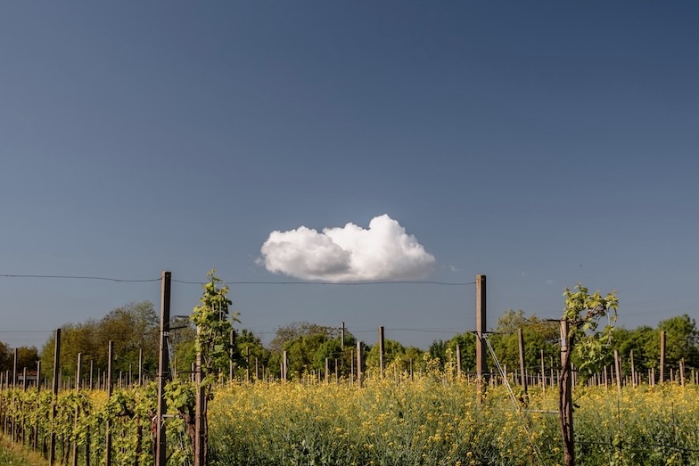 Cal Monda Degustazione Prosecco