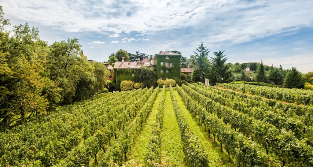 L'Albereta Franciacorta