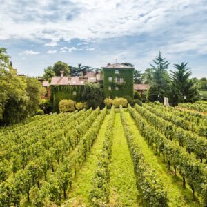 L'Albereta Franciacorta