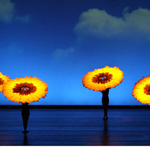 Momix Botanica