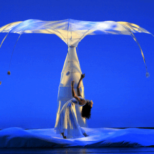 Momix Botanica