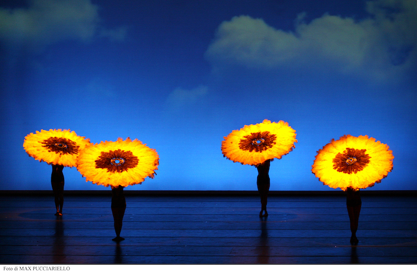 Momix Botanica