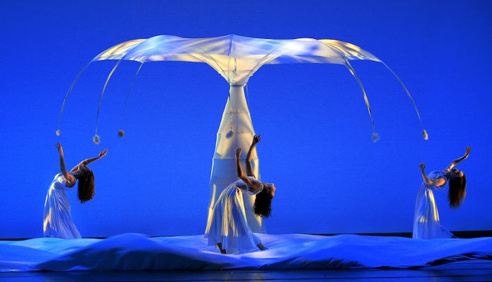 Momix Botanica