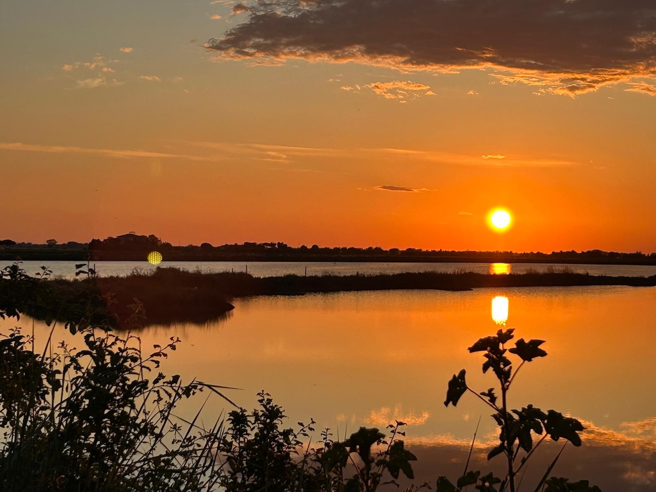 Salina di Cervia