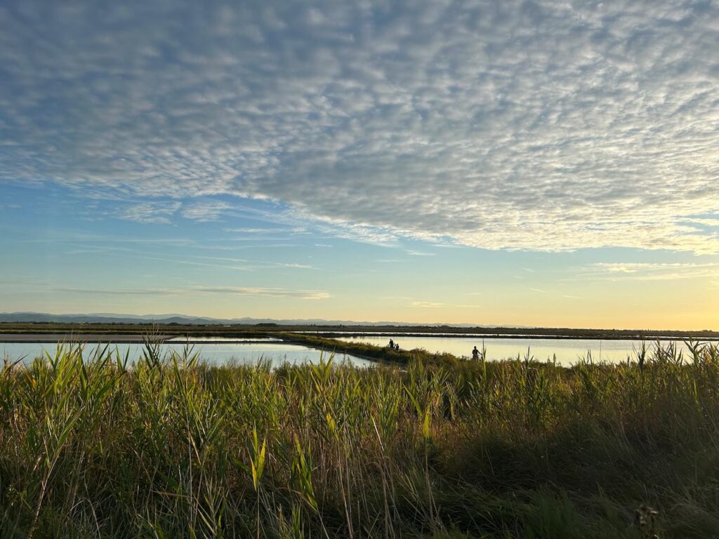 Salina di Cervia