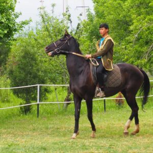 Turkmenistan-cavallo-Akhal-Teke