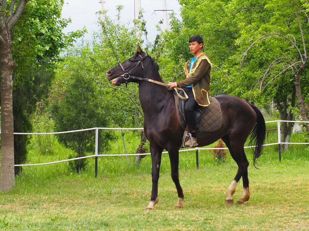 Turkmenistan-cavallo-Akhal-Teke