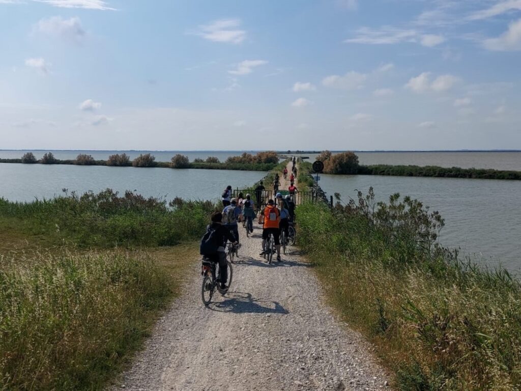 Valli di Comacchio argine-degli-angeli