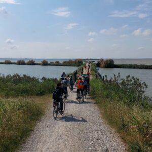 Valli di Comacchio argine-degli-angeli