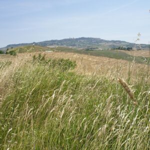 @heiteu-tuscany - Pixabay