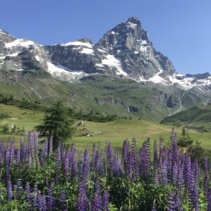 Hotel Hermitage Cervinia Riserva Bayettes_