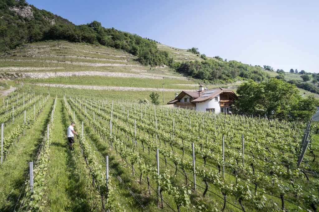 Gnollhof hotel Alto Adige