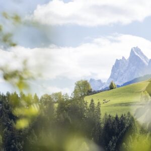 Vista panoramica
