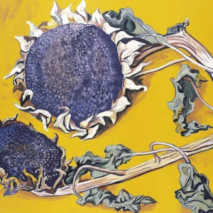 I girasoli