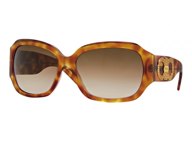 Occhiali da sole Salvatore Ferragamo 2009