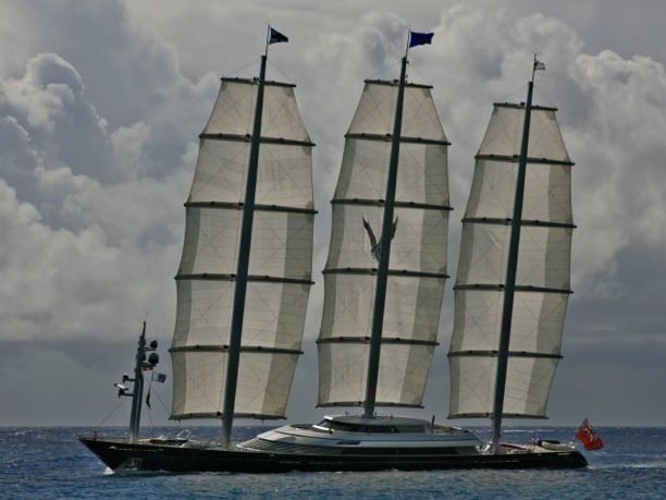 Maltese Falcon