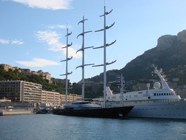 Maltese Falcon