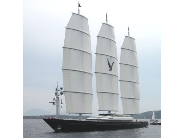 Maltese Falcon