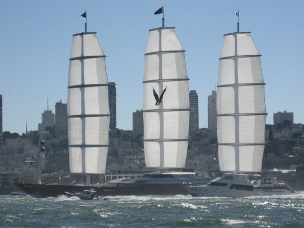 Maltese Falcon