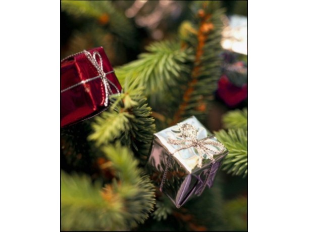 Idee naturali firmate Fai per il Natale 2009