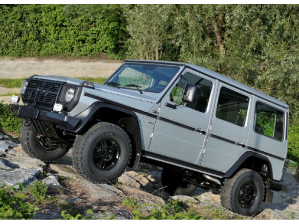 Mercedes G-Klasse Professional