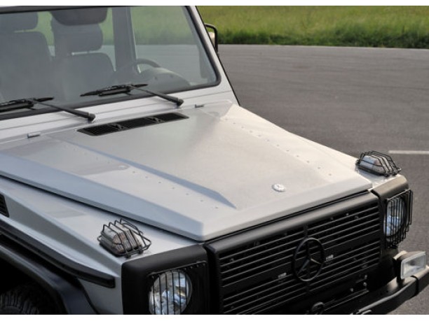 Mercedes G-Klasse Professional