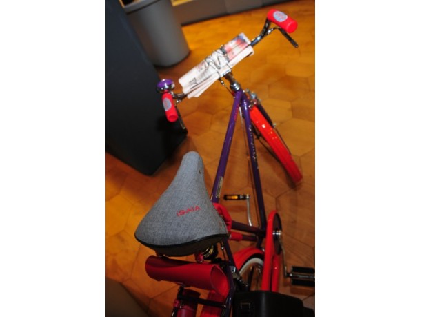 Bicicletta Montante elegante by ISAIA