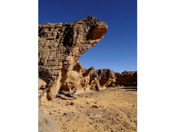Alla scoperta del Sahara Paleolitico, le pitture rupestri nel Tassili in Algeria