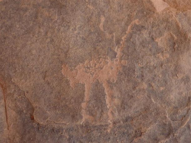 Alla scoperta delle bellezze del Sahara: Gilf Kebir, Uweinat, Grande Mare di Sabbia e Deserto Bianco
