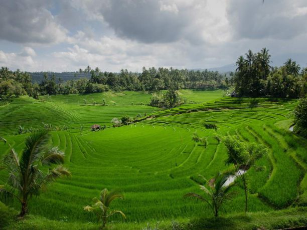 Viaggio a Bali, emozioni infinite e relax
