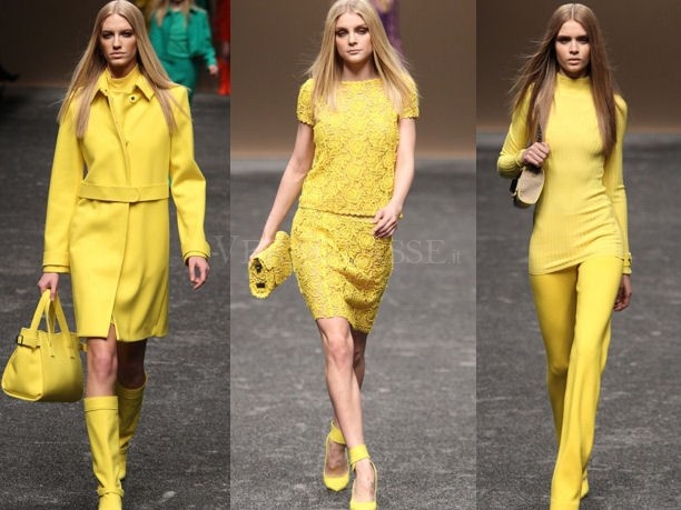 Blumarine collezione autunno inverno 2011/2012