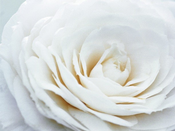 Chanel, Hydra Beauty Serum
