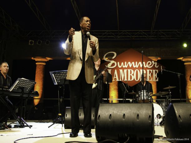 Summer Jamboree 2015 in Senigallia: informazioni e programma