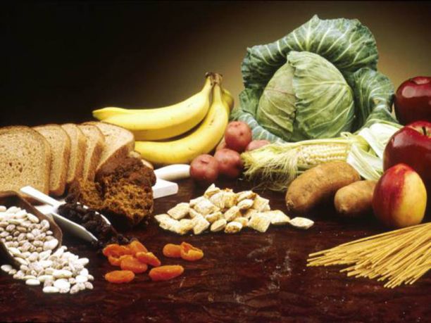 Festival Vegetariano 2014