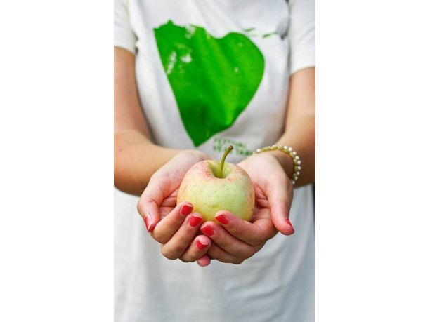 Festival Vegetariano 2014